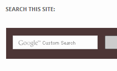 Thay Watermark Từ Google Custom Search Text Box